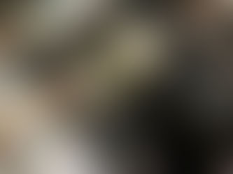 新しい卵焼き器を迎えました