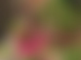 たくさんのご心配をありがとうございました。