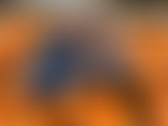 What We've Been Up To...