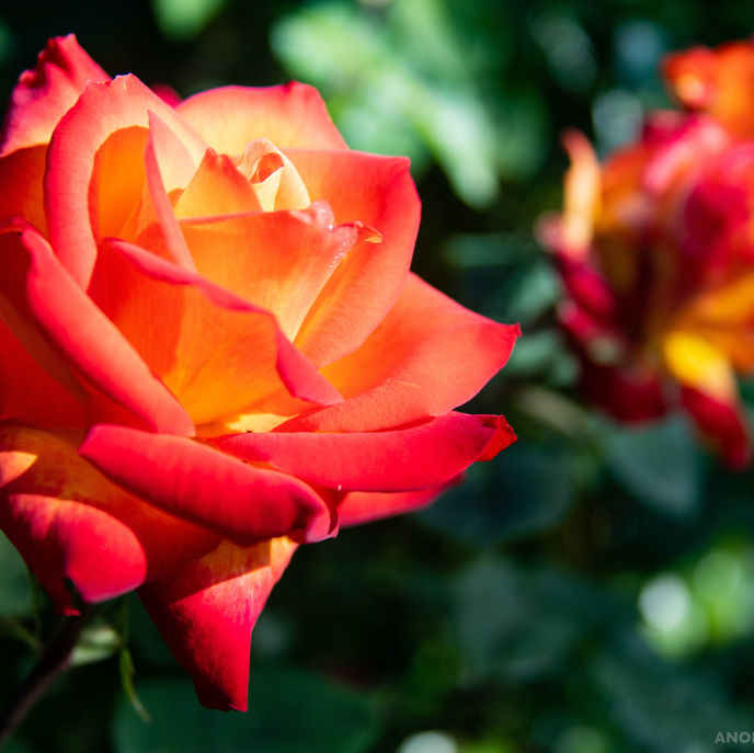 DSC00197_Small File.jpg