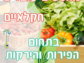 טיולי אינור היא חברת המגייסת בעלי מקצוע