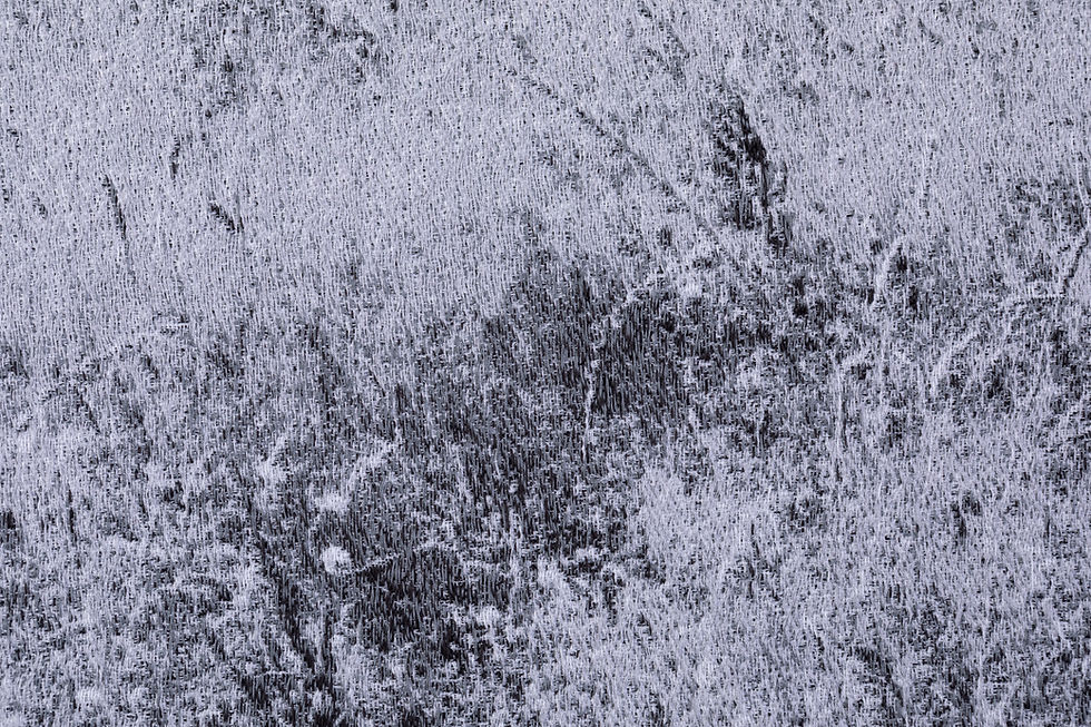 Thumbnail: Whispering Grass / Sibrwd y Gwair