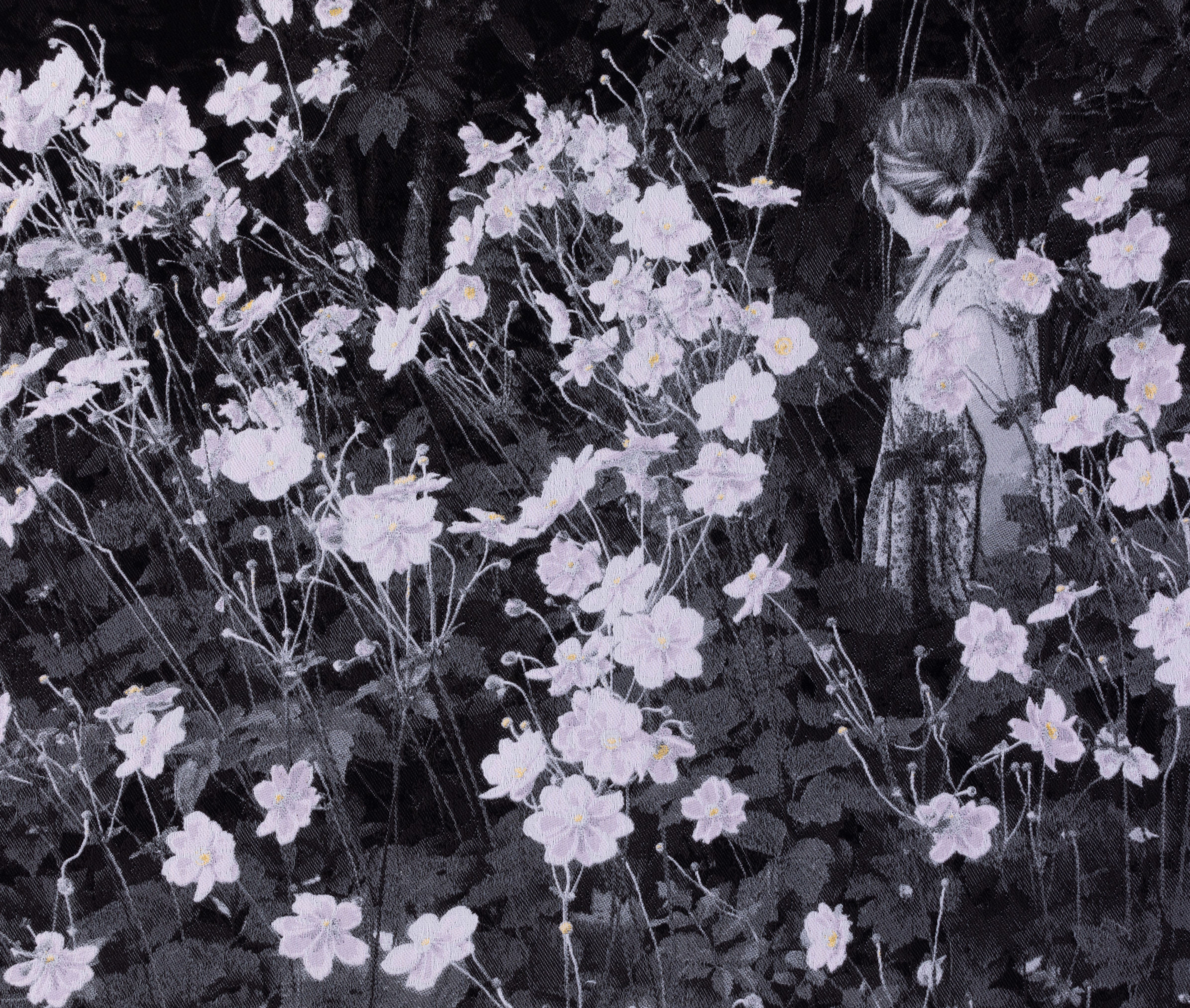 Anemone / Blodyn y Gwynt