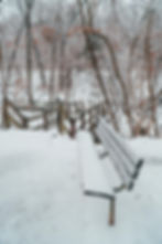 bench with snow along trail