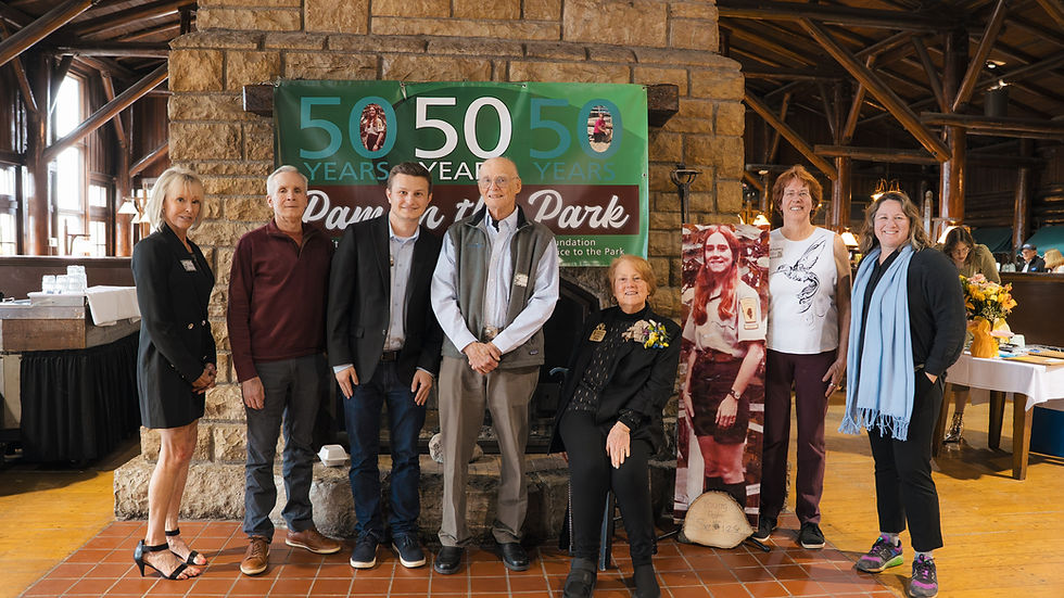 foundation board with Pam