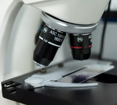 Examens microscopiques