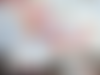 EL TENANGO MÁS GRANDE DEL MUNDO VUELVE A EXHIBIRSE EN EL CONGRESO DEL ESTADO