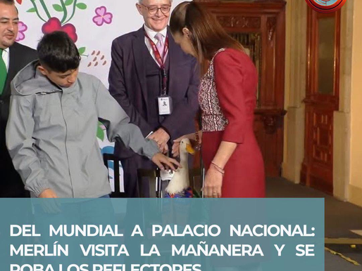 🦆🏛️ DEL MUNDIAL A PALACIO NACIONAL: MERLÍN VISITA LA MAÑANERA Y SE ROBA LOS REFLECTORES