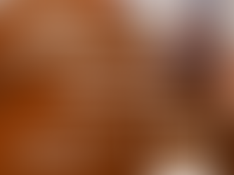 🐴✨ ¡No te pierdas la Gran Charreada en Tepeapulco! ✨🐴