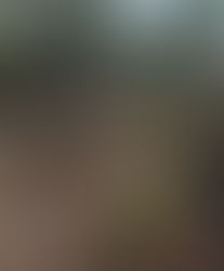 ¡GRAVE DESTRUCCIÓN AMBIENTAL EN SISAL, YUCATÁN! ⚠️🌴