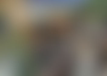 ¡ROBO ARMADO EN PLENO LOMAS DE CHAPULTEPEC: DELINCUENTE ACTÚA CON IMPUNIDAD EN RESTAURANTE DE LUJO! 🚨