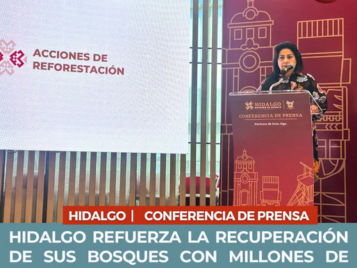 HIDALGO REFUERZA LA RECUPERACIÓN DE SUS BOSQUES CON MILLONES DE PLANTAS Y SEMILLAS NATIVAS