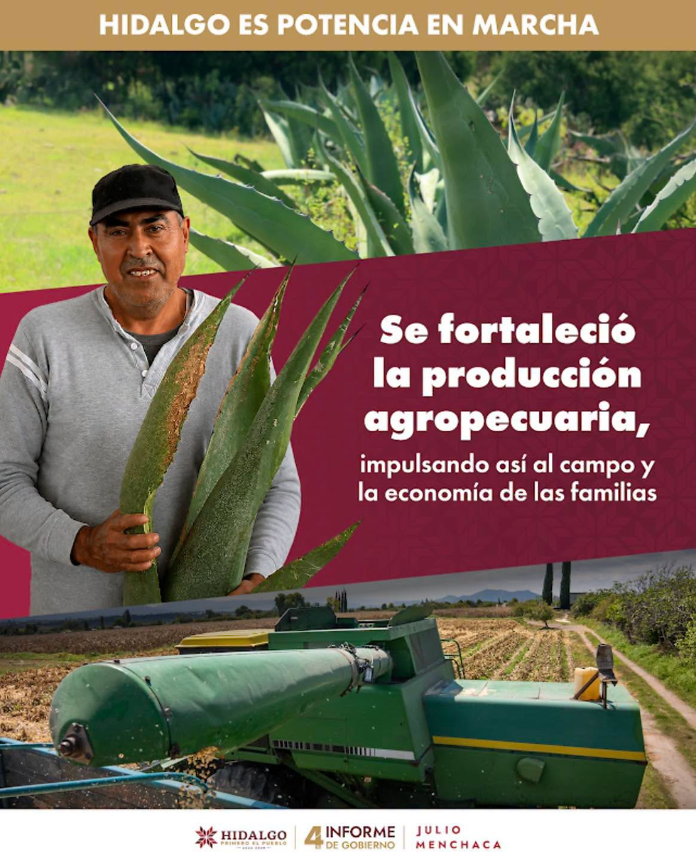 El trabajo de las familias productoras hace fuerte a Hidalgo.Con acciones para impulsar la producción agropecuaria,el campo hidalguense sigue avanzando. 🌾🐄