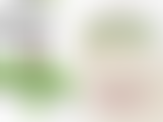 ¡Cuida tu vida! ⚠️