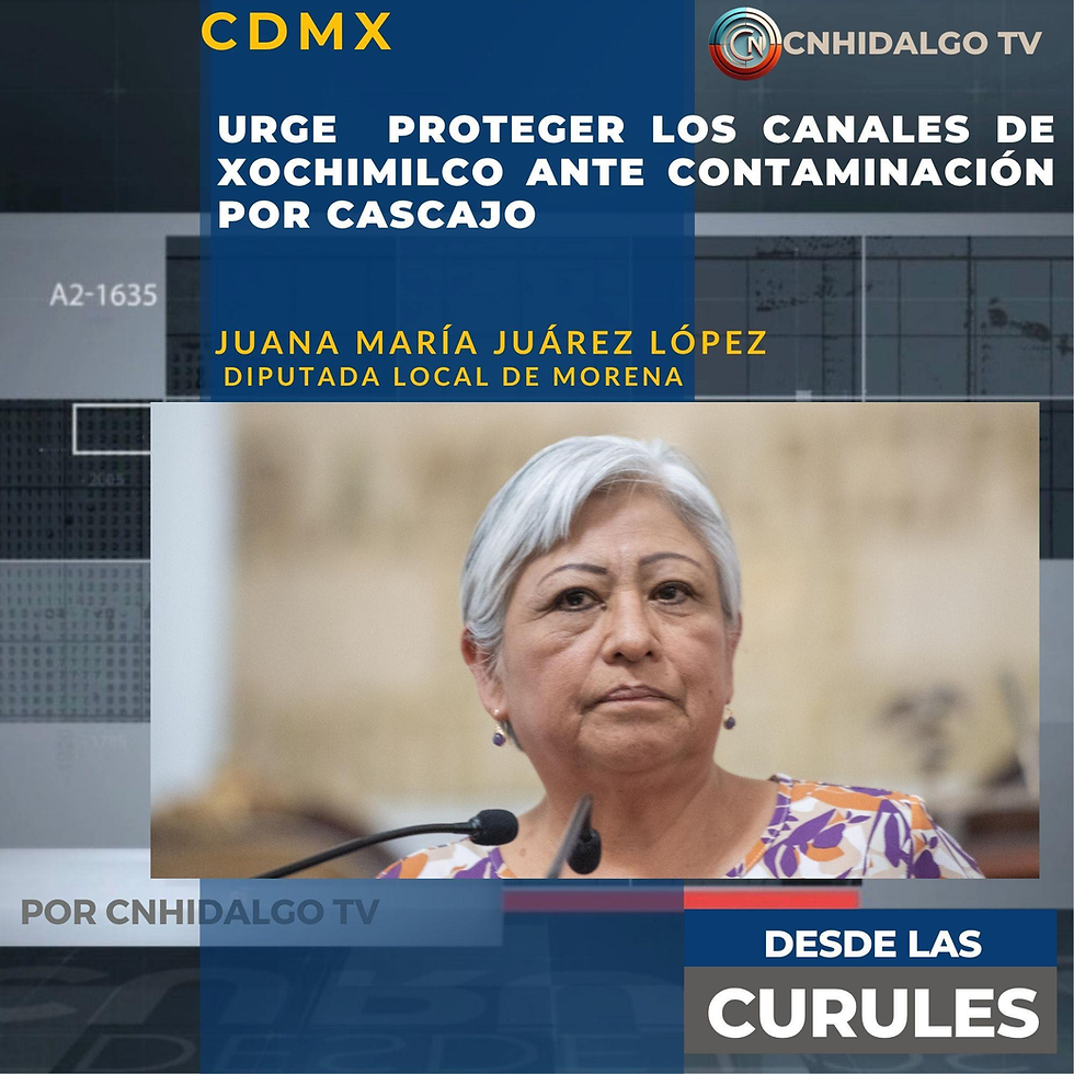 URGE PROTEGER LOS CANALES DE XOCHIMILCO ANTE CONTAMINACI脫N POR CASCAJO