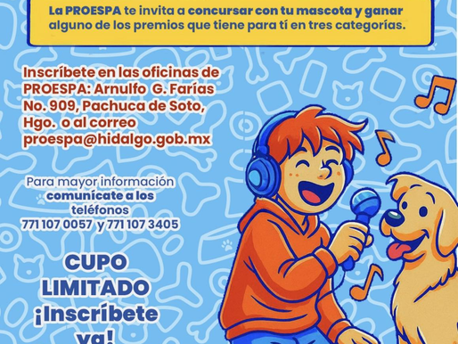 Rock, rancheras, baladas y mucho amor por tu lomito! 🎤🐶