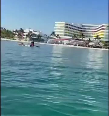 VIDEO VIRAL EN CANCÚN: PERSONA SACA ESTRELLAS DE MAR PROTEGIDAS PARA “ADORNAR SU CASA” ⭐🚫