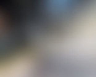 RESCATAN A PERRITO QUE INGRESÓ A VÍAS DE LA LÍNEA 8 DEL METRO CDMX 🐕