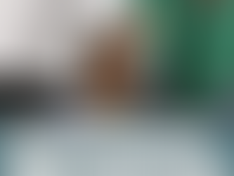 ¡ORGULLO HIDALGUENSE! ESTUDIANTE KARLA LIZETH ES RECONOCIDA EN LA CÁMARA DE DIPUTADOS POR DISCURSO EN NÁHUATL 🇲🇽