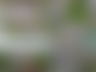 🚧 📢Alerta vial. Secretaría de Seguridad Pública de Hidalgo informa: