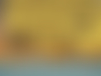 Estados Unidos presenta la “Tarjeta Dorada Trump” para otorgar residencia a inversionistas