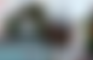 🎄 MELANIA TRUMP INAUGURA LA TEMPORADA NAVIDEÑA EN LA CASA BLANCA