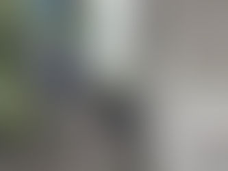 ¡DESCARRILAMIENTO DE TREN DE CARGA EN CÓRDOBA, VERACRUZ! ⚠️🚂