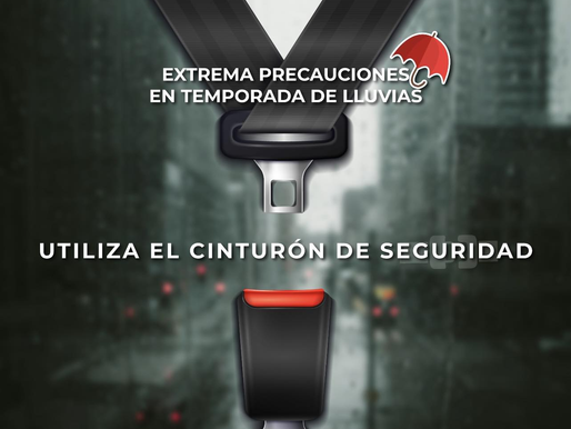 Tanto en trayectos cortos como largos utilice en todo momento el cinturón de seguridad. 🚙