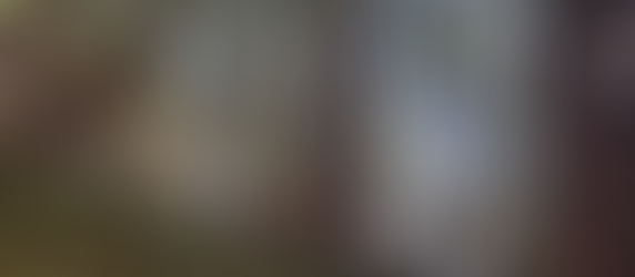 小譚顧耽 : Nov. 2024