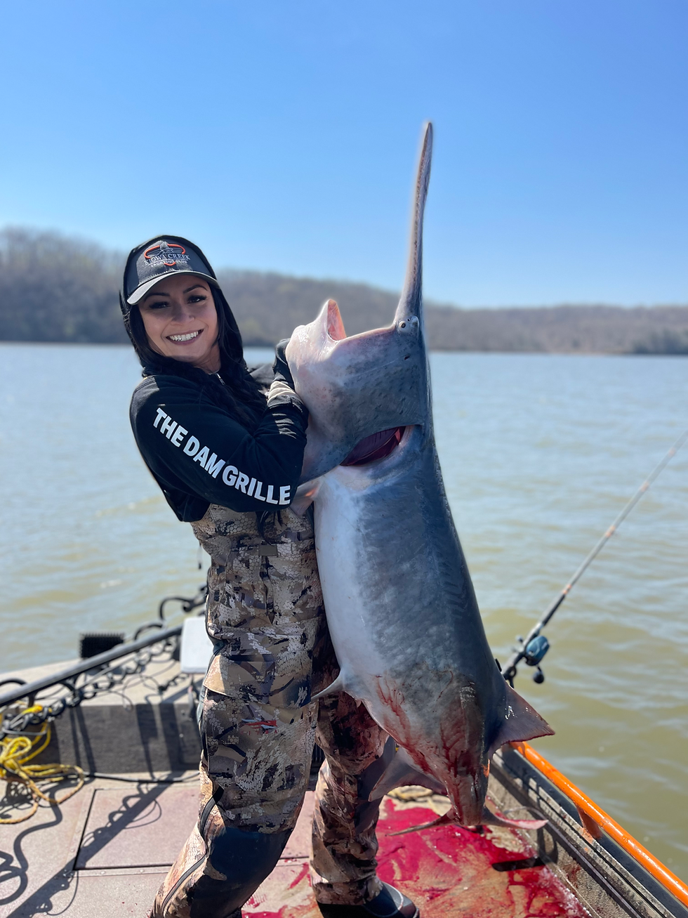 Spoonbill Snagging Trip