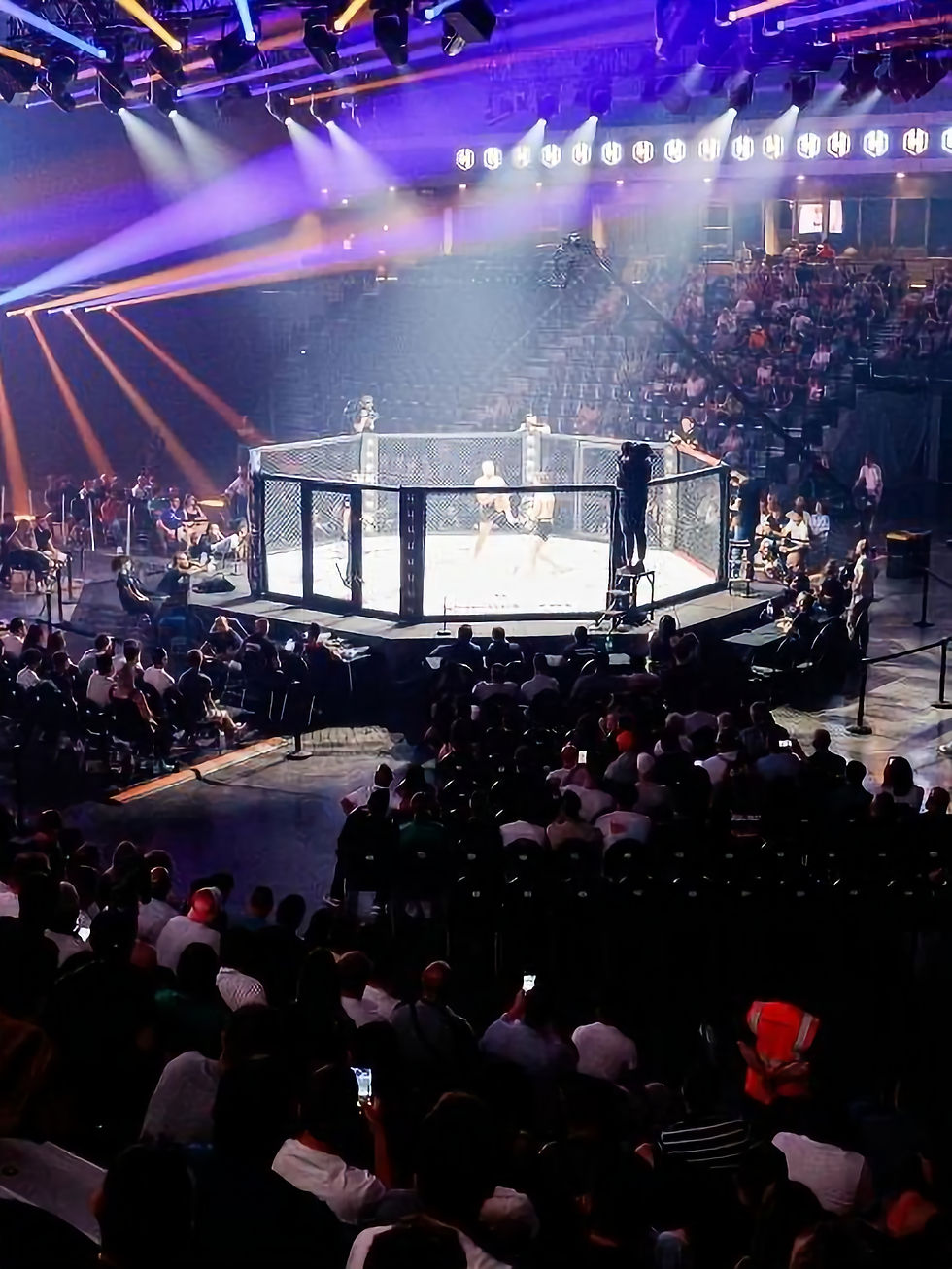 areana mma_edited.jpg