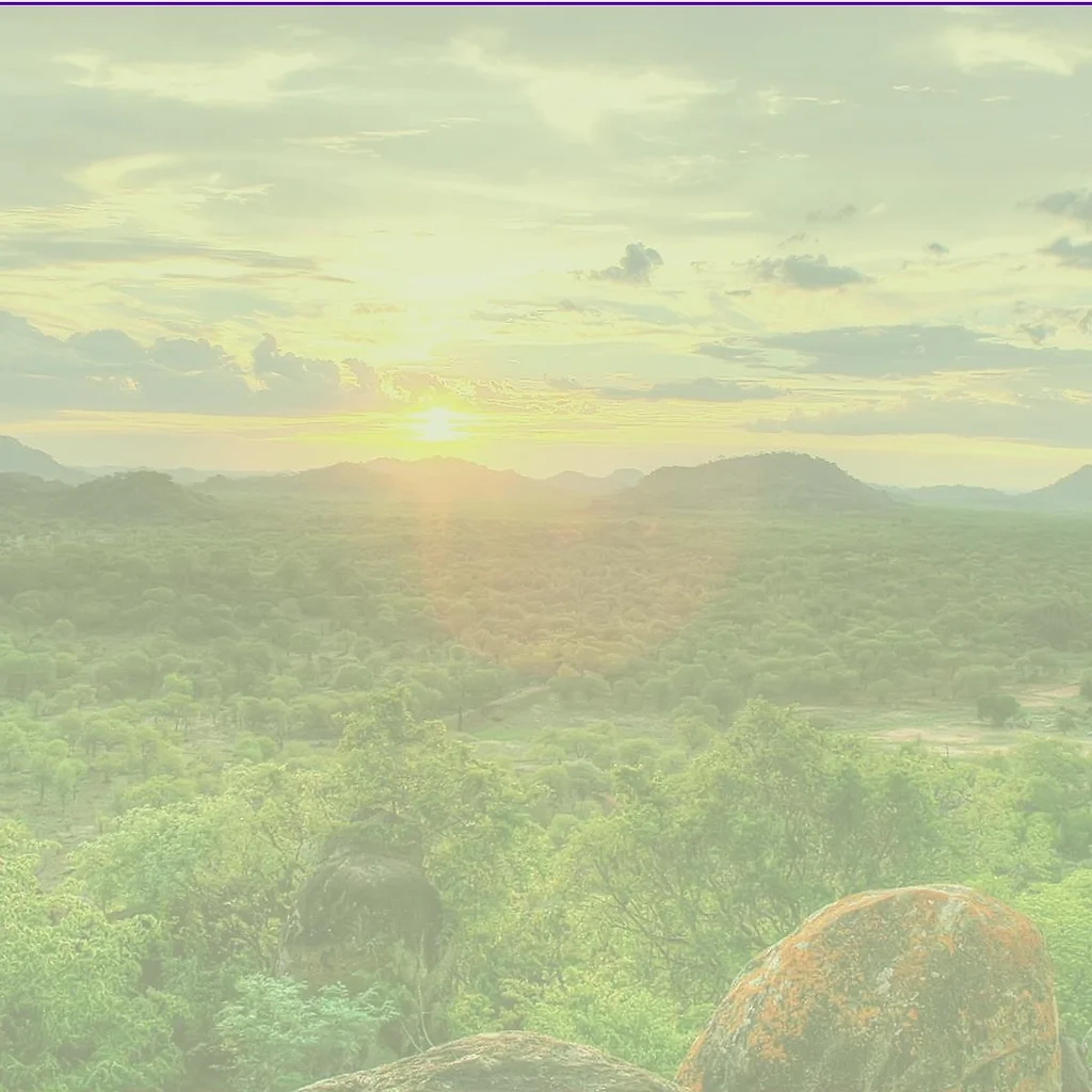 ホーム Global Eco Talk Show