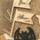 Thumbnail: Halloween Decorations 