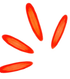 Red glowing rays or sparkles on a black background