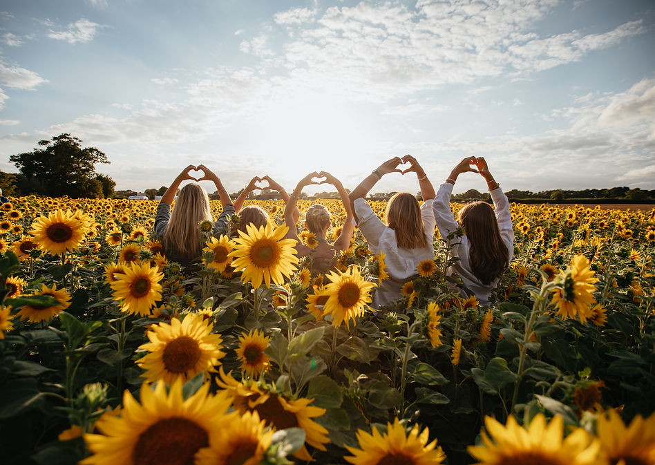 Five people making heart shapes in a sunflower field