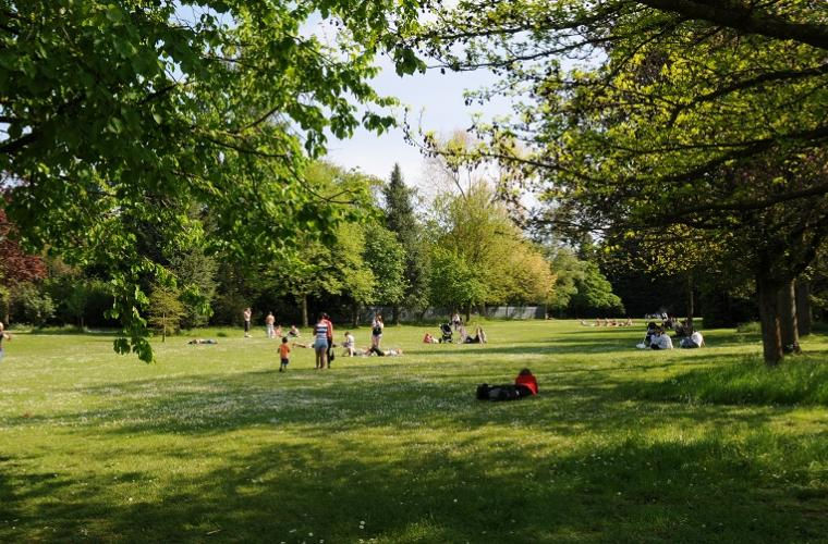 local park.jpg