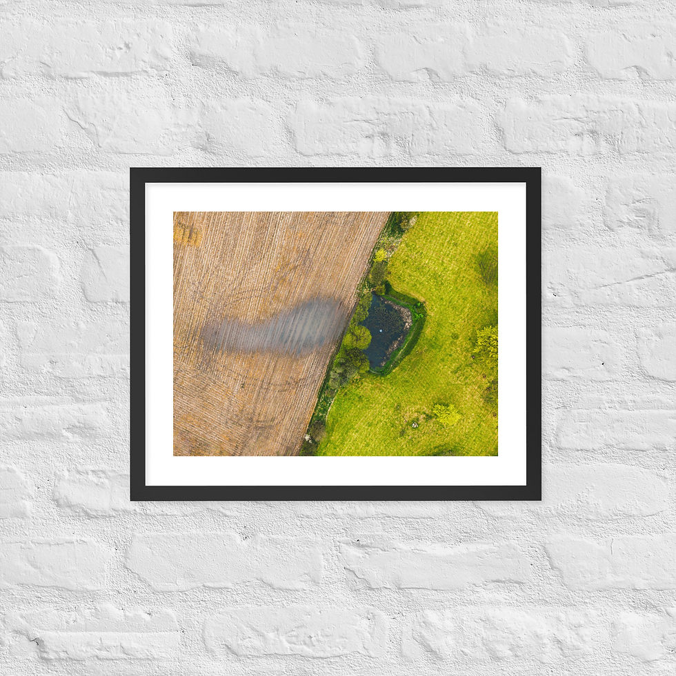Thumbnail: Framed matte paper poster