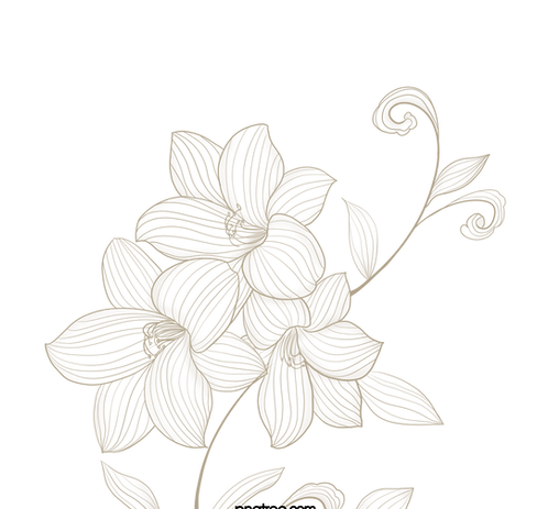 Gold Flower Flourish_edited.png