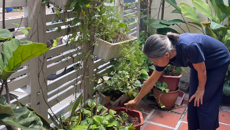 GÁNH XIẾC CỦA TÔI