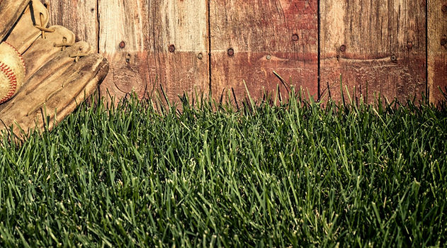 dreamstime_xxl_58907342_edited_edited_ed