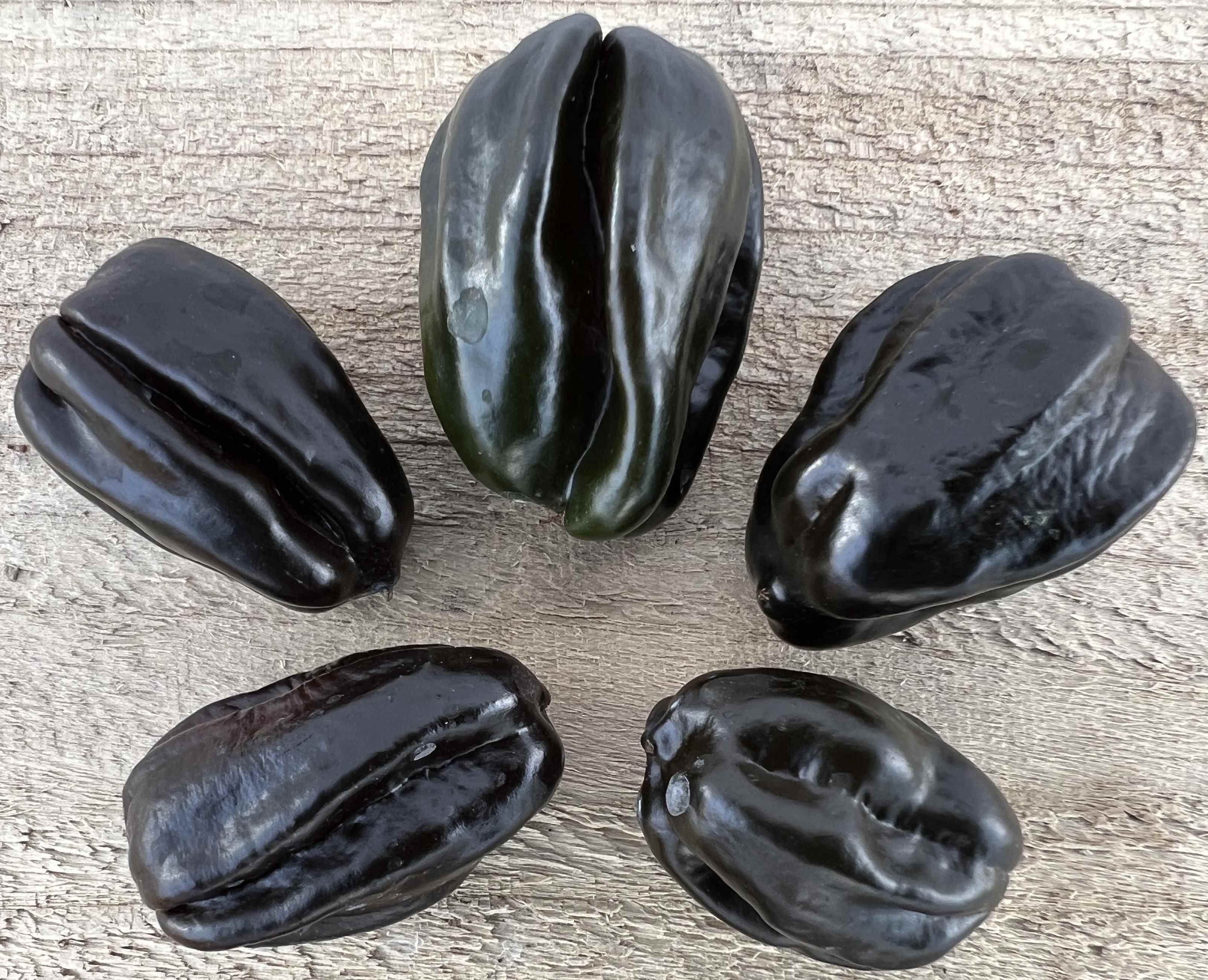 Swiss Chocolate Habanero Chillies