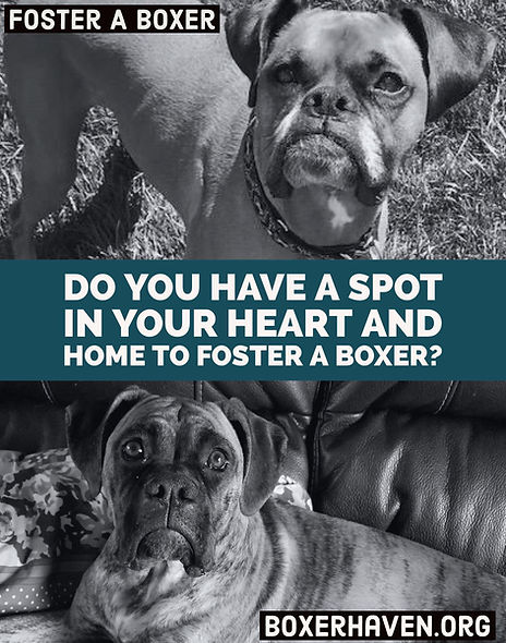 31936479_962058887308171_456178850572166