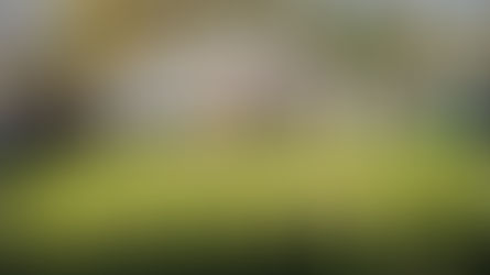 L'album photo de la cérémonie de fin des Jardins de Fred