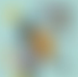 Les inscriptions au concours du FJT 2025 sont ouvertes !!!