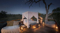 Experience the ultimate luxury safari in Africa, combining thrilling wildlife encounters with five-star accommodations, expert guides, and exclusive services in the world's most iconic safari destinations.