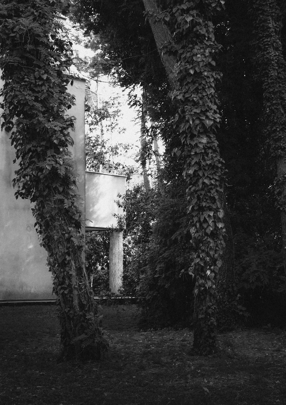 2110_05.jpg