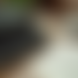 10 Fun and Fascinating Facts About Human Resources You Didn't Know