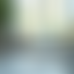 How a Virtual HR Partner Enhances Your Team with Remote HR Support