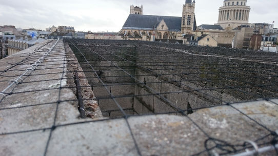 Installation de Filets anti volatiles, anti pigeon, nuisances aviaires, dépigeonnisation, travaux en hauteur, par positionnement sur cordes, cordiste, nacelle automotrice, échafaudage, entrepôt, usine, copropriété, syndic, bailleurs sociaux, Agilys Services