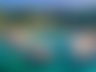 Saint-Honorat : Spiritualité et Sérénité